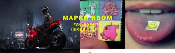 крисы Алексин