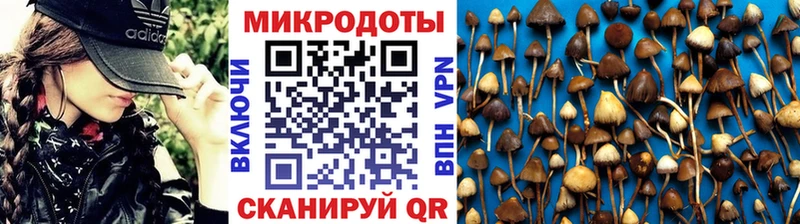 Псилоцибиновые грибы GOLDEN TEACHER сайты даркнета наркотические препараты ссылка на мегу ссылка Старый Оскол наркота
