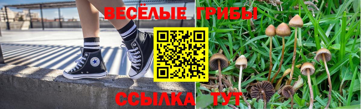 Псилоцибиновые грибы Psilocybe  Вход с VPN  Галлюциногенные грибы ЛСД  Старый Оскол 